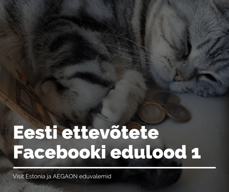 Eesti ettevõtete Facebooki edulood 1. Milos reklaam