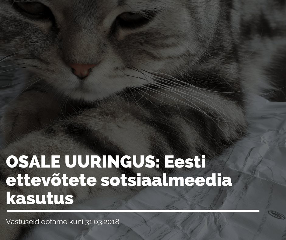 Osale uuringus: Eesti ettevõtete sotsiaalmeedia kasutus