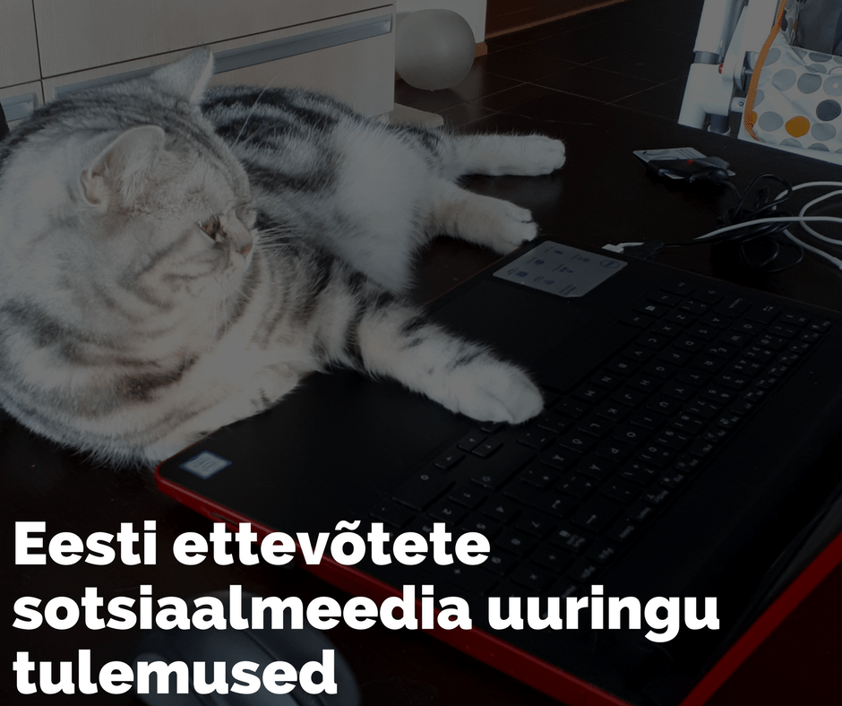 Eesti ettevõtete sotsiaalmeedia kasutus