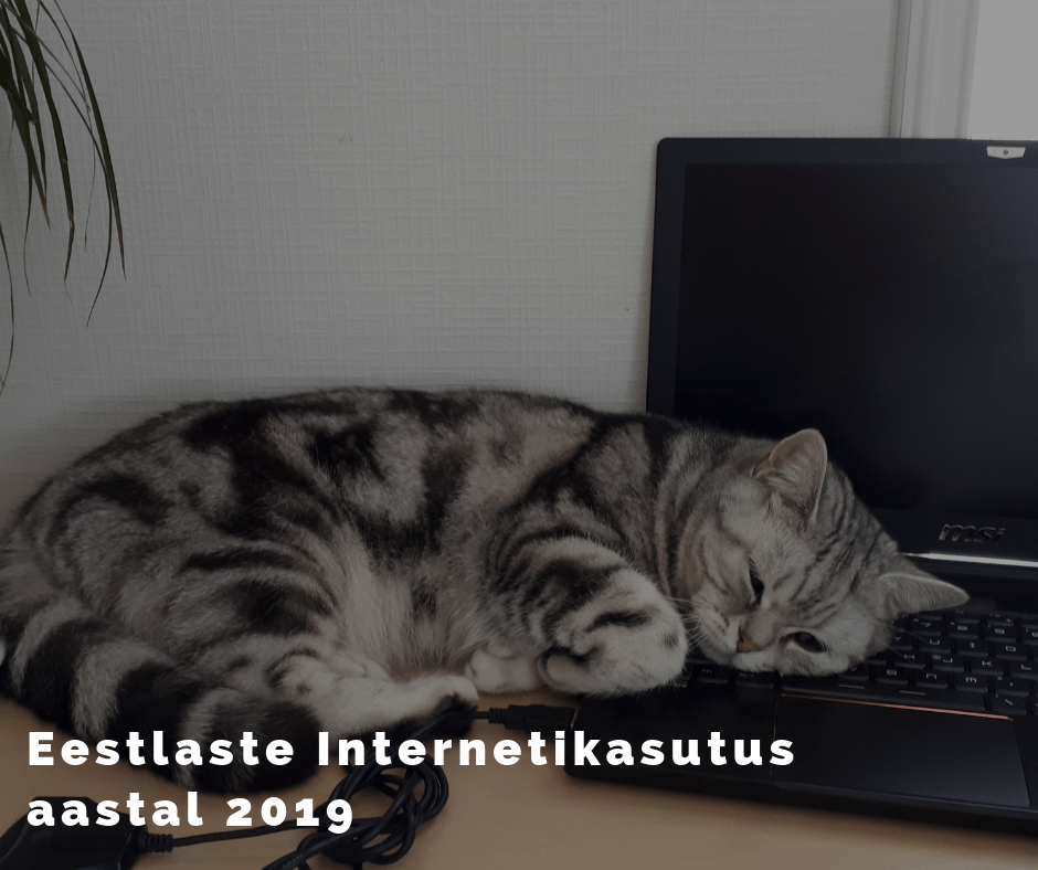 Eestlaste internetikasutus aastal 2019