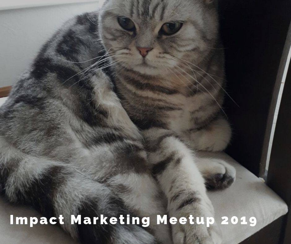 Impact Marketing Meetup 2019