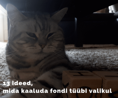13 ideed, mida kaaluda fondi tüübi valikul