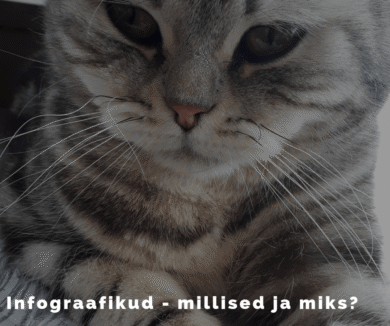 Kuidas teha infograafikud? Mis programmiga saab teha infograafikud?