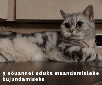 Kuidas kujundada maandumisleht?