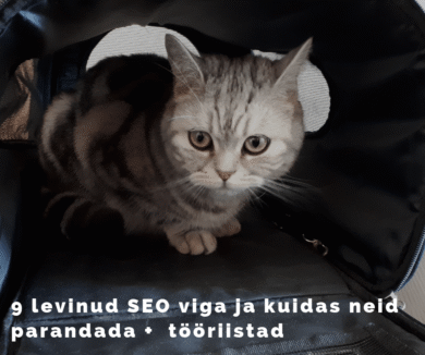 SEO vead, kodulehe optimeerimise vead