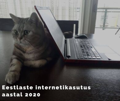 Eestlaste internetikasutus