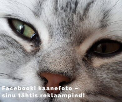 Facebooki kaanefoto