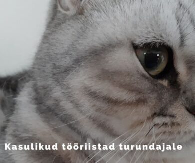 Kasulikud tööriistad turundajale