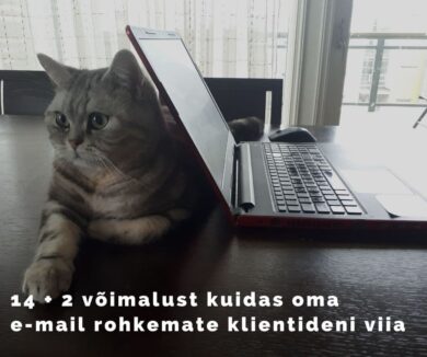 E-mailiturundus